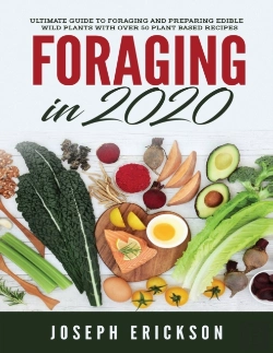 Bertrand.pt - Foraging In 2020