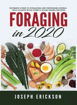 Bertrand.pt - Foraging In 2020