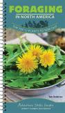 Foraging In North America