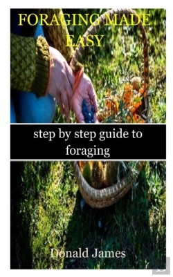 Bertrand.pt - Foraging Made Easy