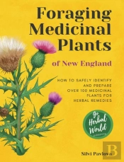 Foraging Medicinal Plants Of New England