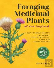 Foraging Medicinal Plants Of New England