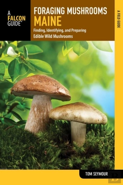 Bertrand.pt - Foraging Mushrooms Maine
