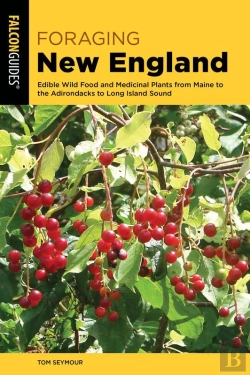 Bertrand.pt - Foraging New England