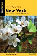Foraging New York