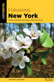 Foraging New York