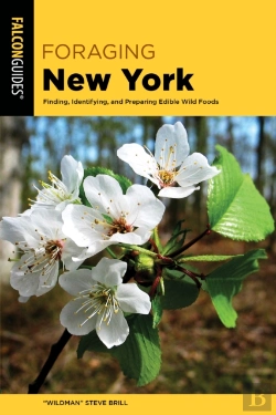 Bertrand.pt - Foraging New York