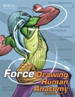 Bertrand.pt - Force: Drawing Human Anatomy
