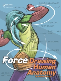 Bertrand.pt - Force: Drawing Human Anatomy