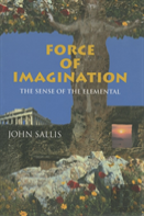 Force Of Imagination