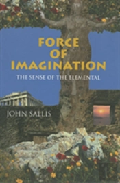 Force Of Imagination