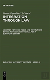 Forces And Potential For A European Identity