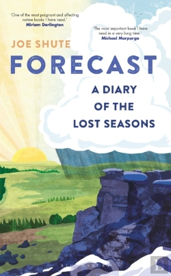Bertrand.pt - Forecast