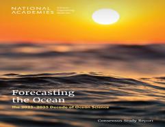 Forecasting The Ocean
