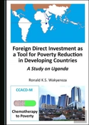Foreign Direct Investment As A Tool For Poverty Reduction In Developing Countries