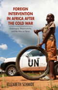 Foreign Intervention In Africa After The Cold War