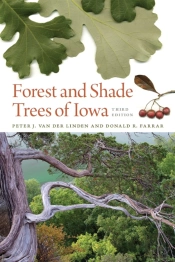 Forest And Shade Trees Of Iowa