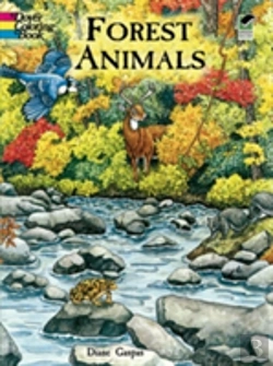 Bertrand.pt - Forest Animals Colouring Book