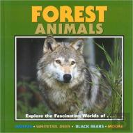 Forest Animals