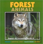 Forest Animals