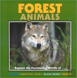 Bertrand.pt - Forest Animals