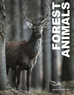 Bertrand.pt - Forest Animals