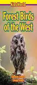 Forest Birds Of The West