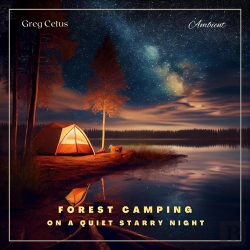 Bertrand.pt - Forest Camping On A Quiet Starry Night