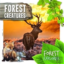 Bertrand.pt - Forest Creatures
