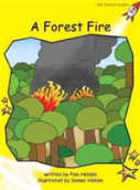 Forest Fire