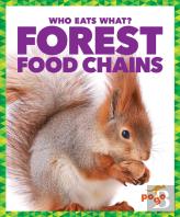 Forest Food Chains