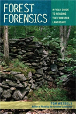 Bertrand.pt - Forest Forensics