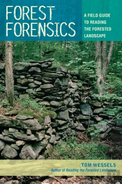 Bertrand.pt - Forest Forensics