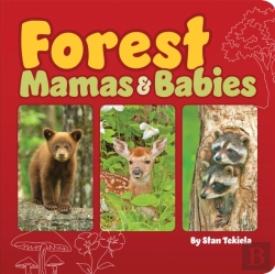 Bertrand.pt - Forest Mamas And Babies