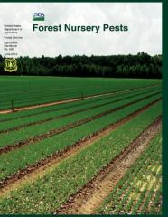 Forest Nursery Pests (Agriculture Handbook No. 680)