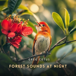 Bertrand.pt - Forest Sounds At Night