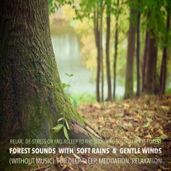 Bertrand.pt - Forest Sounds With Soft Rains & Gentle Winds (Without Music) For Deep Sleep, Meditation, Relaxation