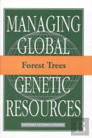 Forest Trees