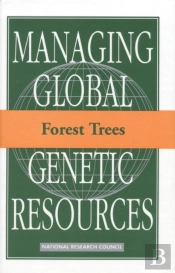 Forest Trees