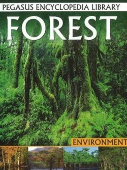 Bertrand.pt - Forest