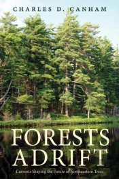 Forests Adrift