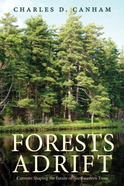 Bertrand.pt - Forests Adrift