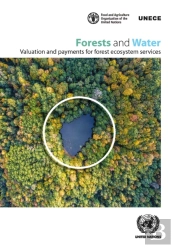 Forests And Water