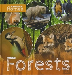 Bertrand.pt - Forests