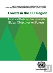 Forests In The Ece Region