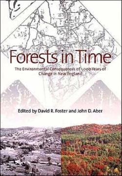 Bertrand.pt - Forests In Time