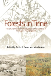 Forests In Time