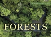 Forests