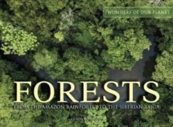 Bertrand.pt - Forests