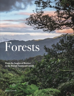 Bertrand.pt - Forests